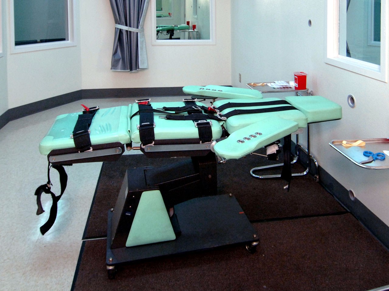 Should the state execute Ernest Lee Johnson?