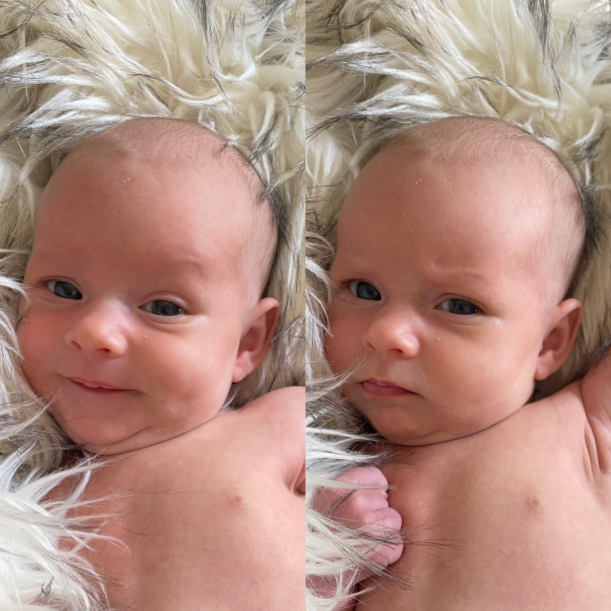 Which of Baby Zooey’s attitudes do you find more endearing?