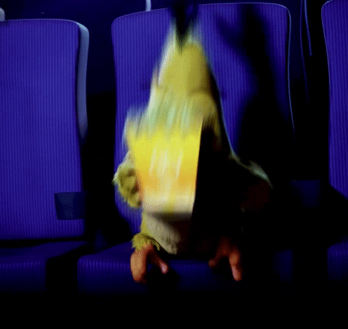 Will you watch horror movies by yourself?