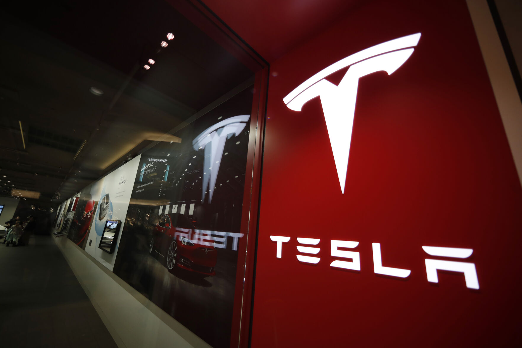 If you had to rent a car, would you pick a Tesla?