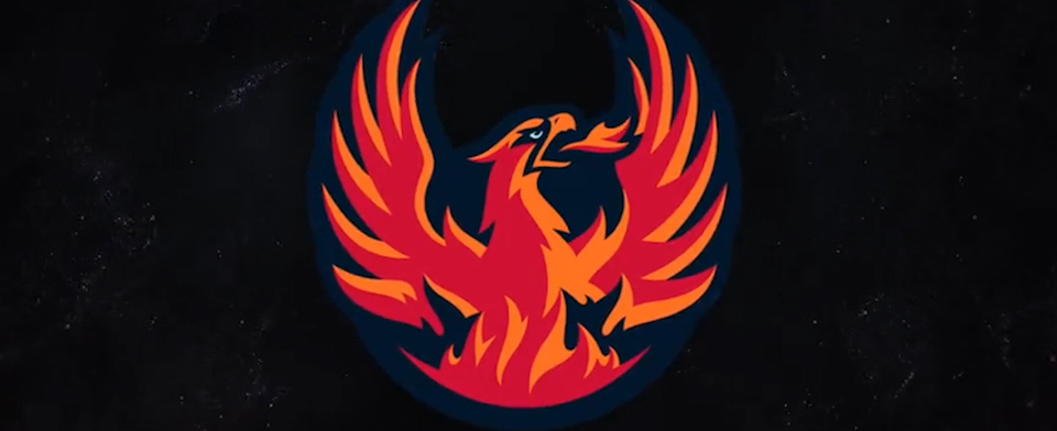 Do you like the Coachella Valley Firebirds' name and logo?
