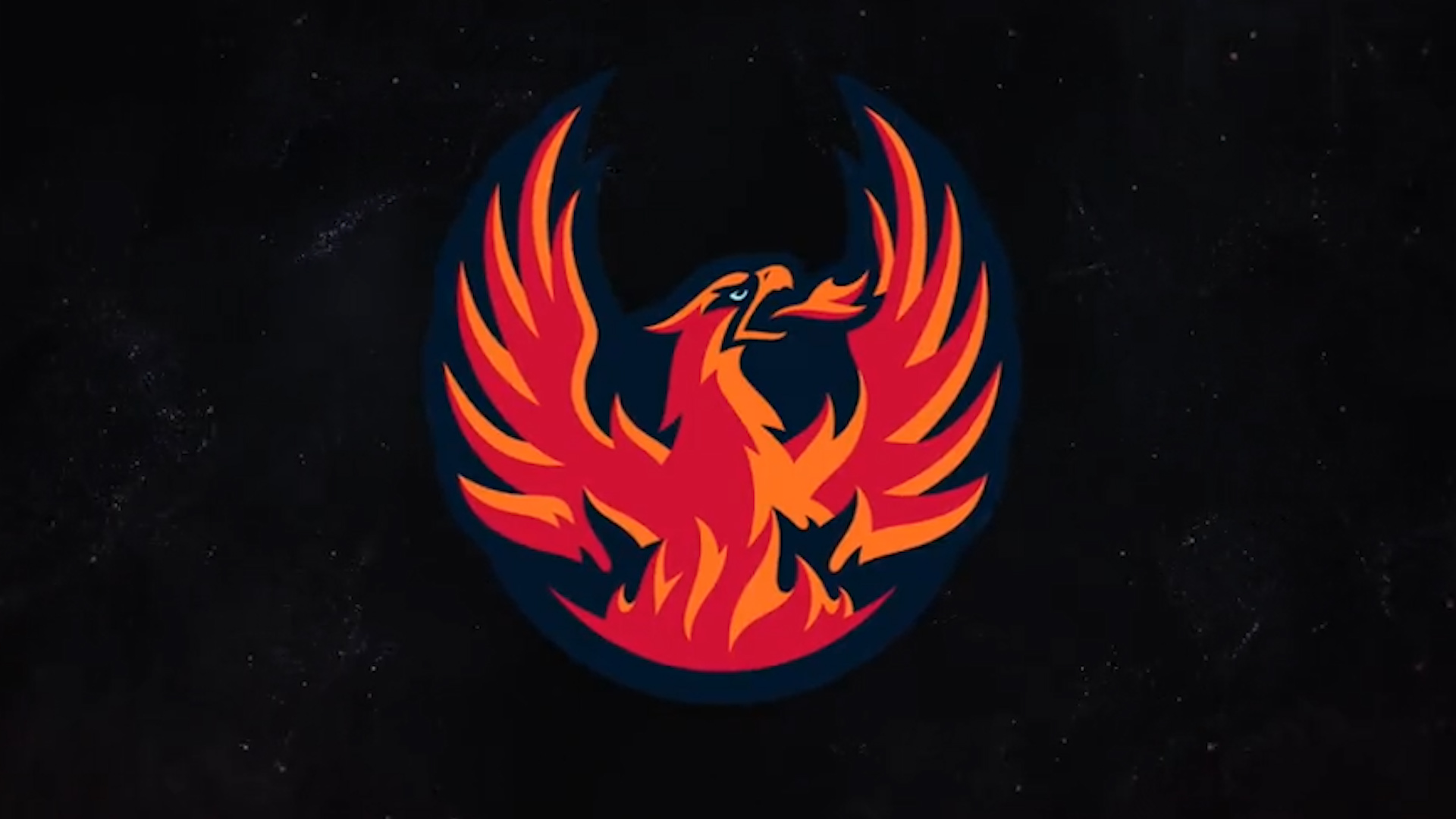 Do you like the Coachella Valley Firebirds' name and logo?
