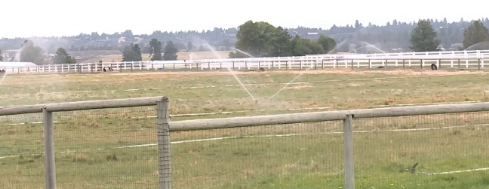 Do you think the government has done enough to help ranchers/farmers during a time of drought?