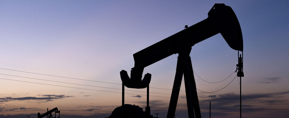 Do you agree with the decision to tap into the U.S. Strategic Petroleum Reserve?