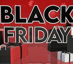 Did you go shopping on Black Friday?