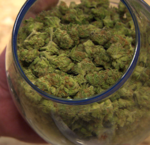 Do you think all Central Oregon cities should have marijuana dispensaries?