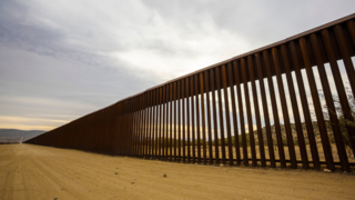 Do you agree with Senator Kelly wanting to rebuild the border wall?