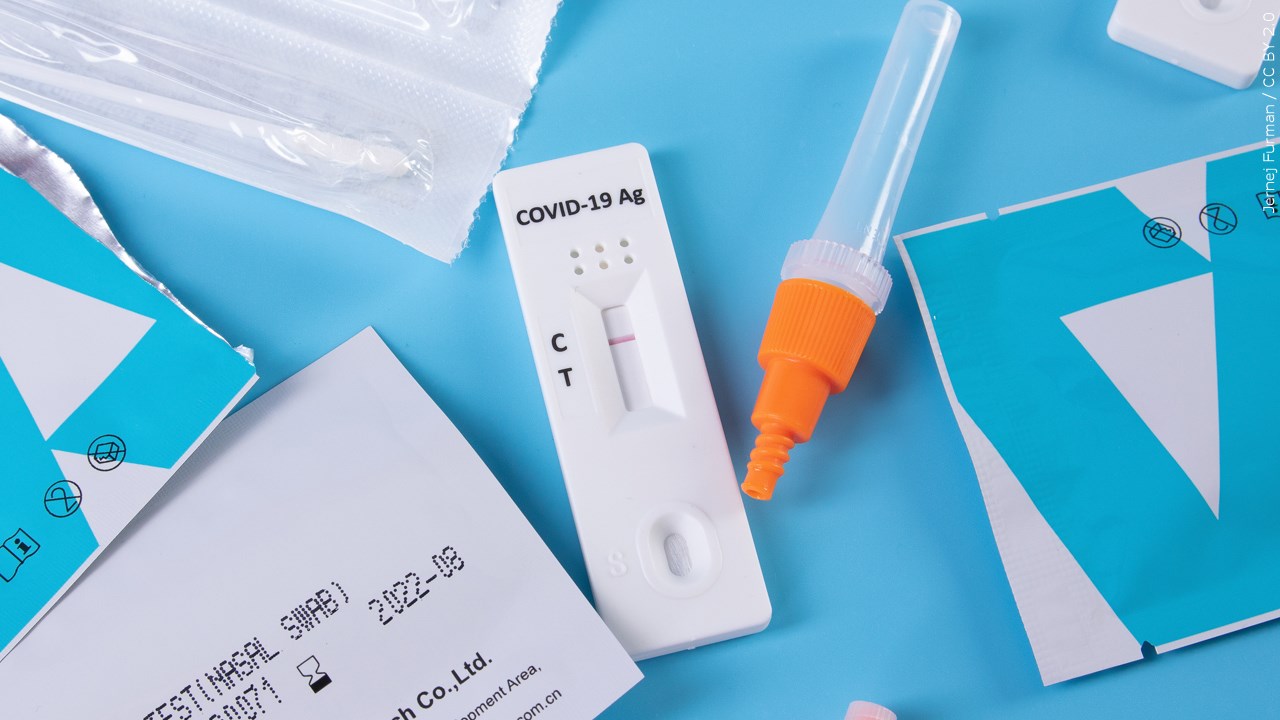 Do you think the government has done enough to make COVID-19 testing available? 