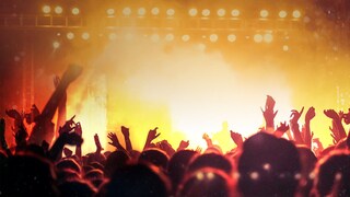 Has an event you were interested in been canceled because of the coronavirus?