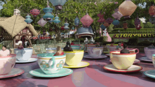 What's your Theme Park go-to ride?
