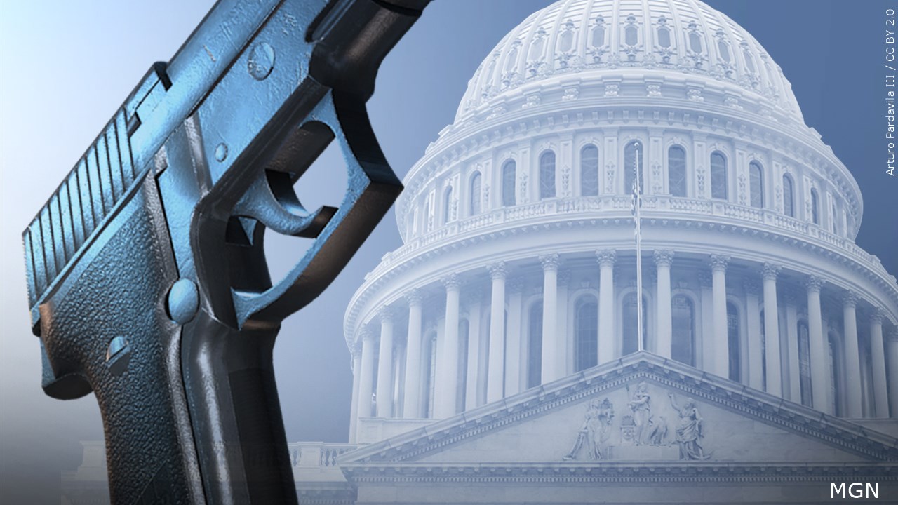 Do you believe more legislation is needed for gun control?