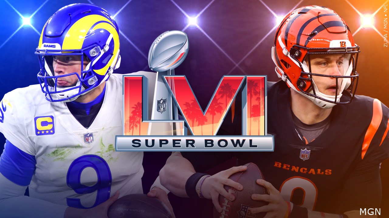 Are you planning to watch the Super Bowl this Sunday?