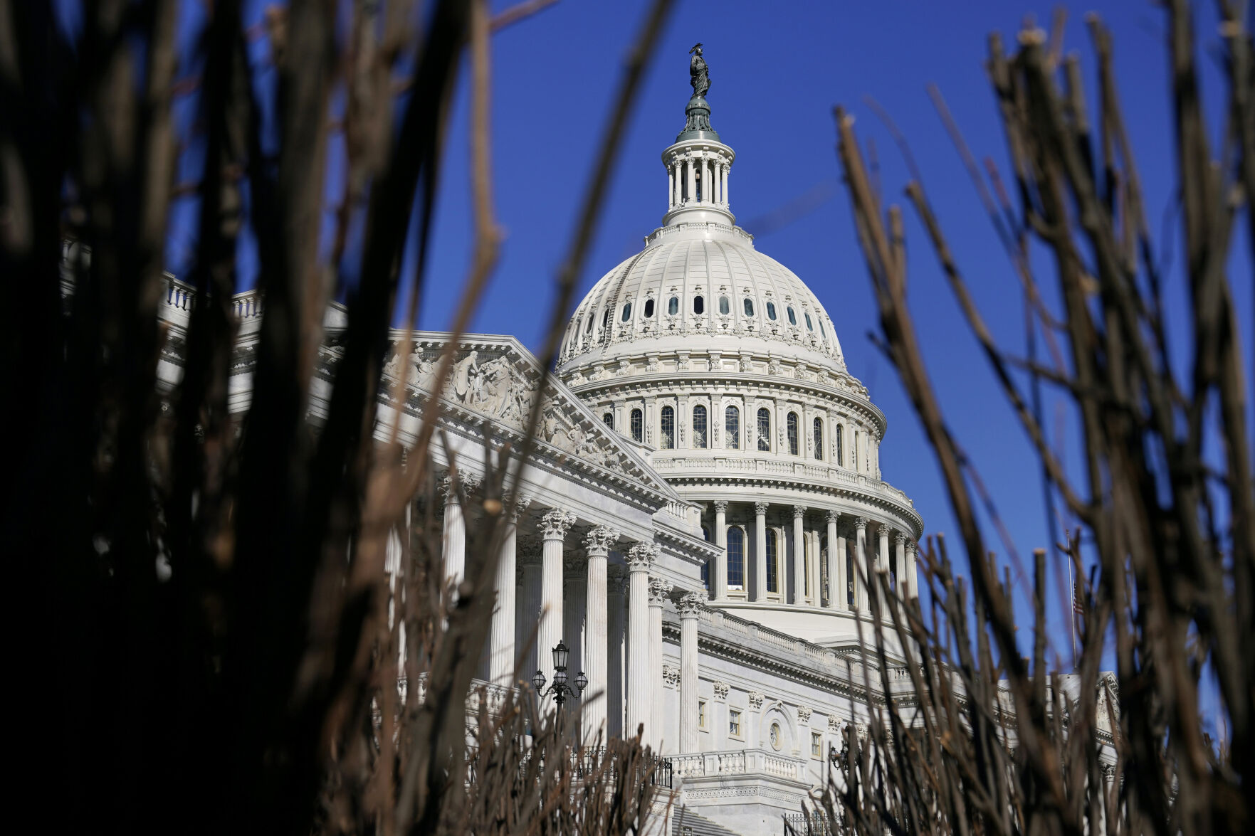 How would you characterize the state of the union?