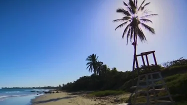 With the pandemic winding down, are you planning a big summer trip this year?