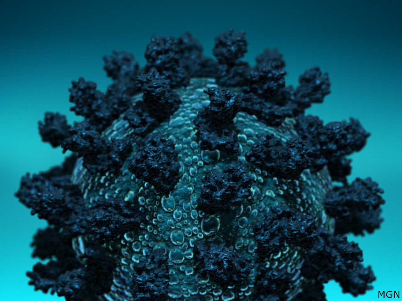 Do you still worry about COVID-19 two years into the pandemic?