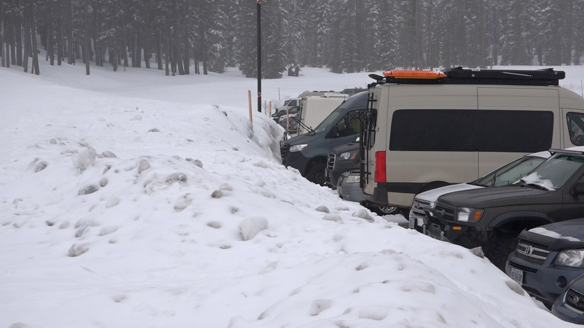 Is the mild winter making you nervous about the summer?