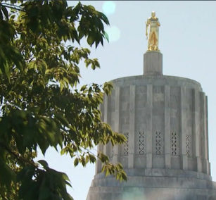 Do you have a favorite gubernatorial candidate yet?