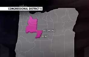 Do you know who you'll vote for in the 5th congressional district?