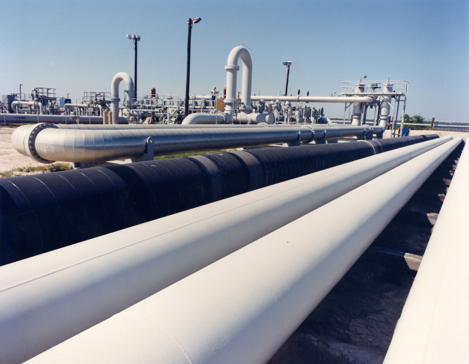 President Biden authorized the largest-ever release from the U.S. petroleum reserves. Do you agree?