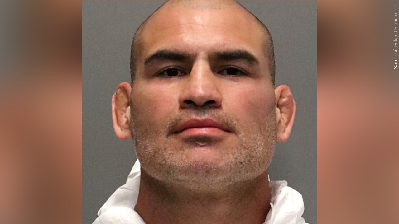 Do you think Cain Velasquez should be released from custody?