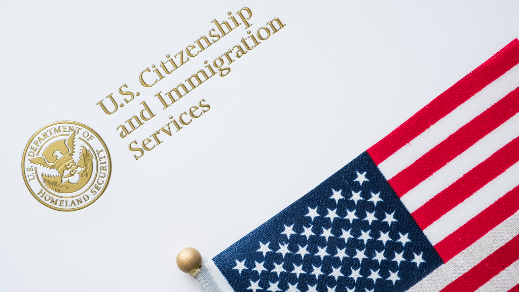 Do you think Biden should implement a new immigration policy once Title 42 ends?