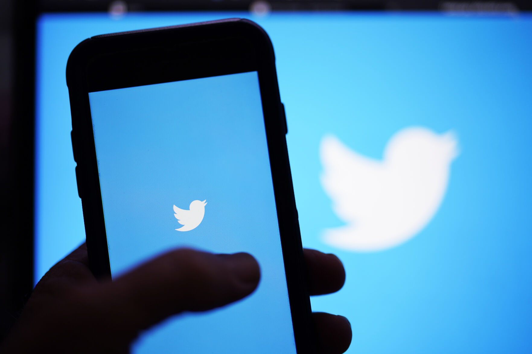Would you like to see Elon Musk reinstate Donald Trump on Twitter?