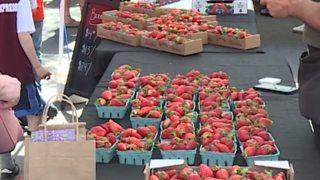 Are you willing to pay extra for local produce?