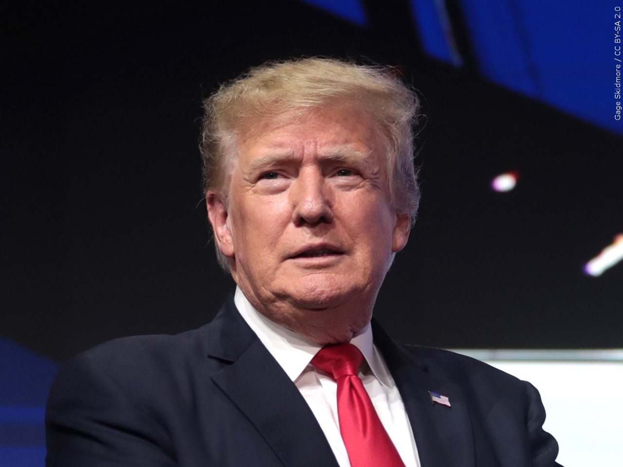 Should Donald Trump be allowed back on Twitter?
