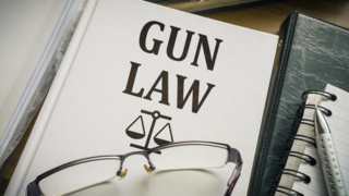 Do you think tougher gun laws are a 'real solution?'