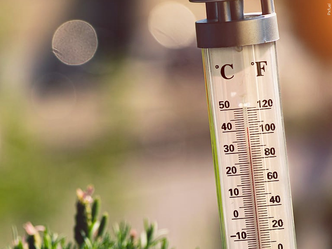 Are you taking steps to save on utilities during the heat wave?