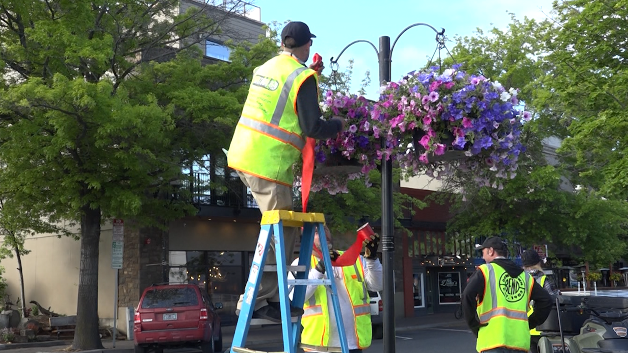 Would you give money/time to help beautify your downtown?