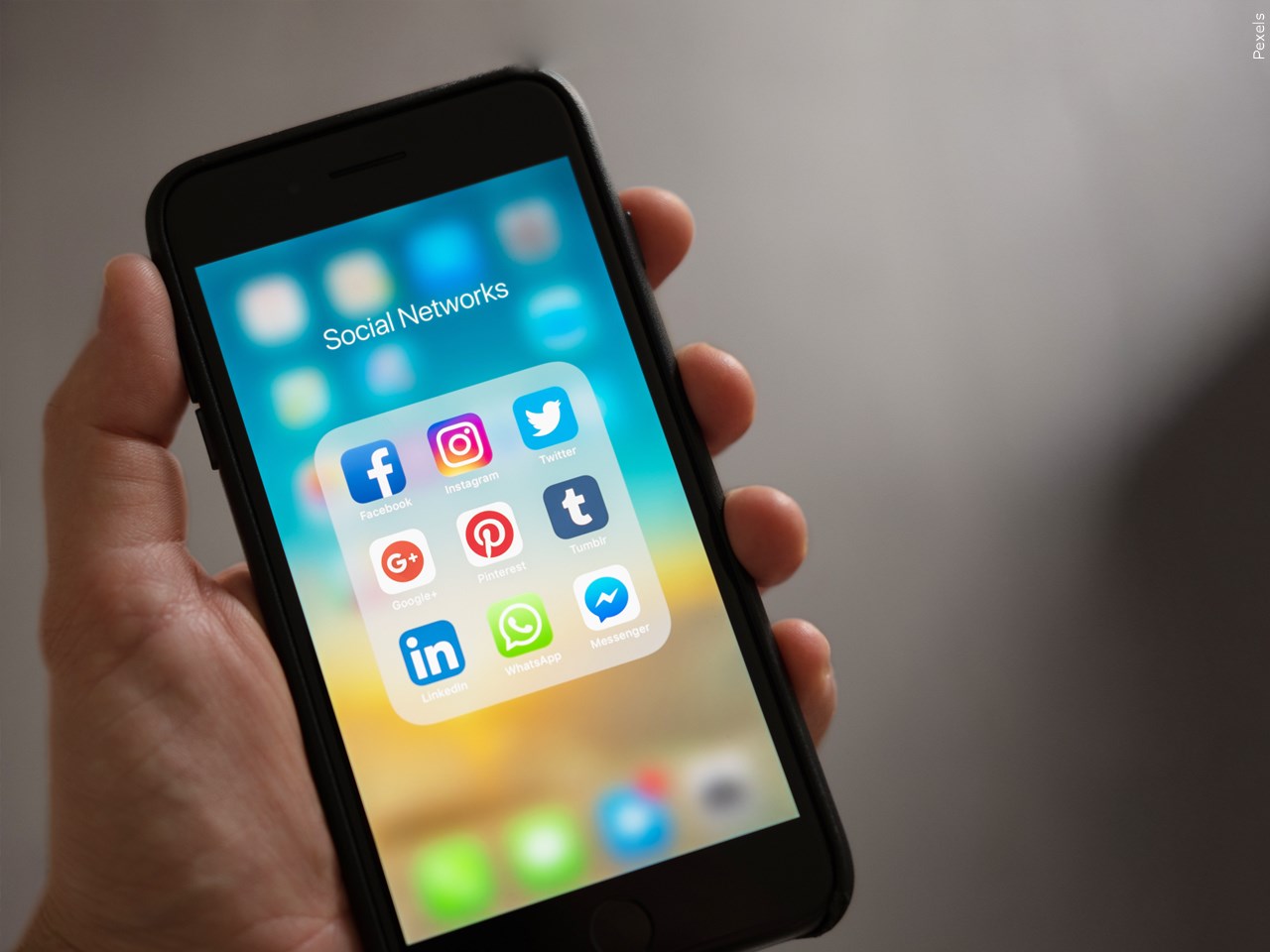 Are social media companies' content standards flawed?