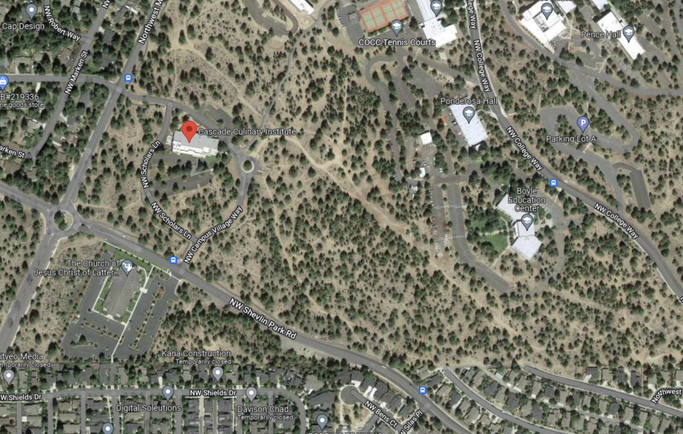 Do you think local colleges should build more student housing to help ease the housing shortage?