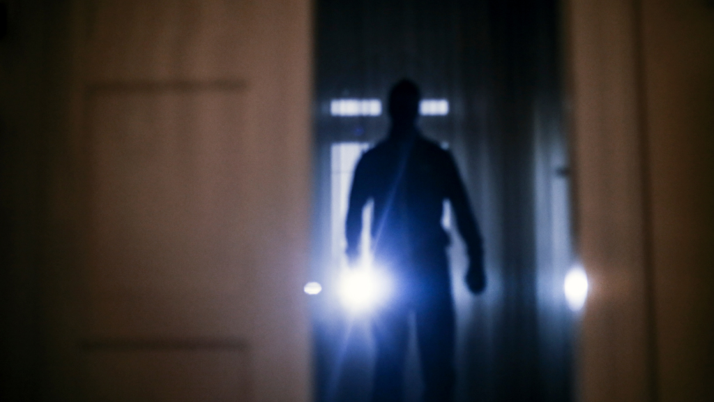 Have you been a victim of burglary in the past year?