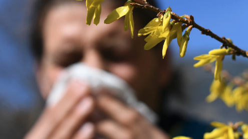 Do you feel your allergies are more extreme this year?