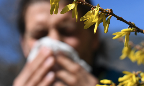 Do you feel your allergies are more extreme this year?