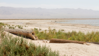 Do you think lithium from the Salton Sea should be taxed?