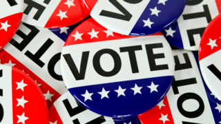 Do you think there will be a big turnout during Arizona's primary election?