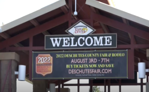 What's your favorite part of the fair?