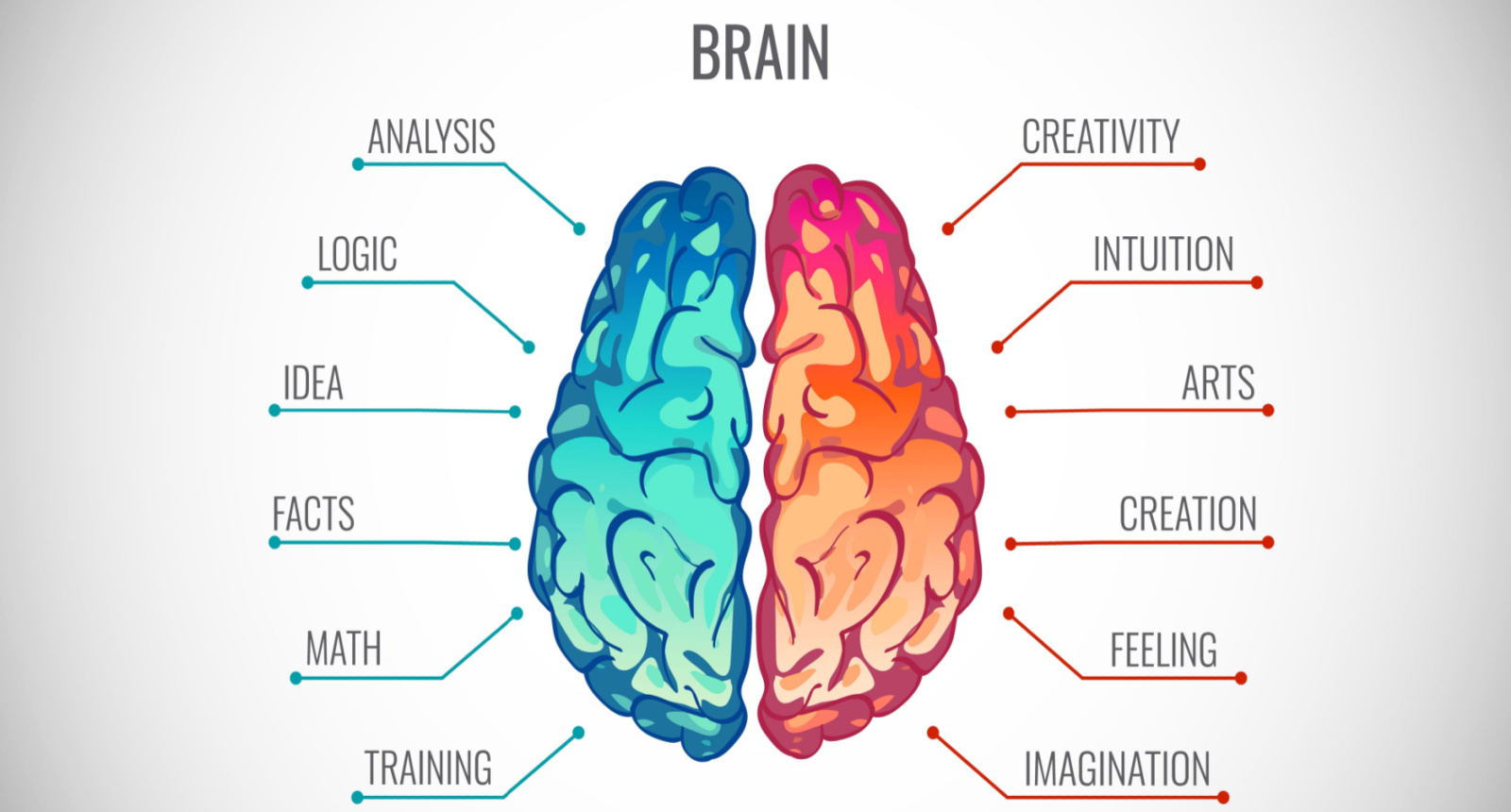 Are you “left-brained” (analytical) or “right-brained” (artistic)?