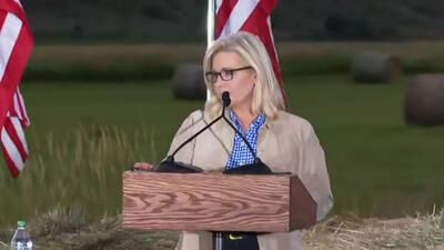 Do you admire Liz Cheney?