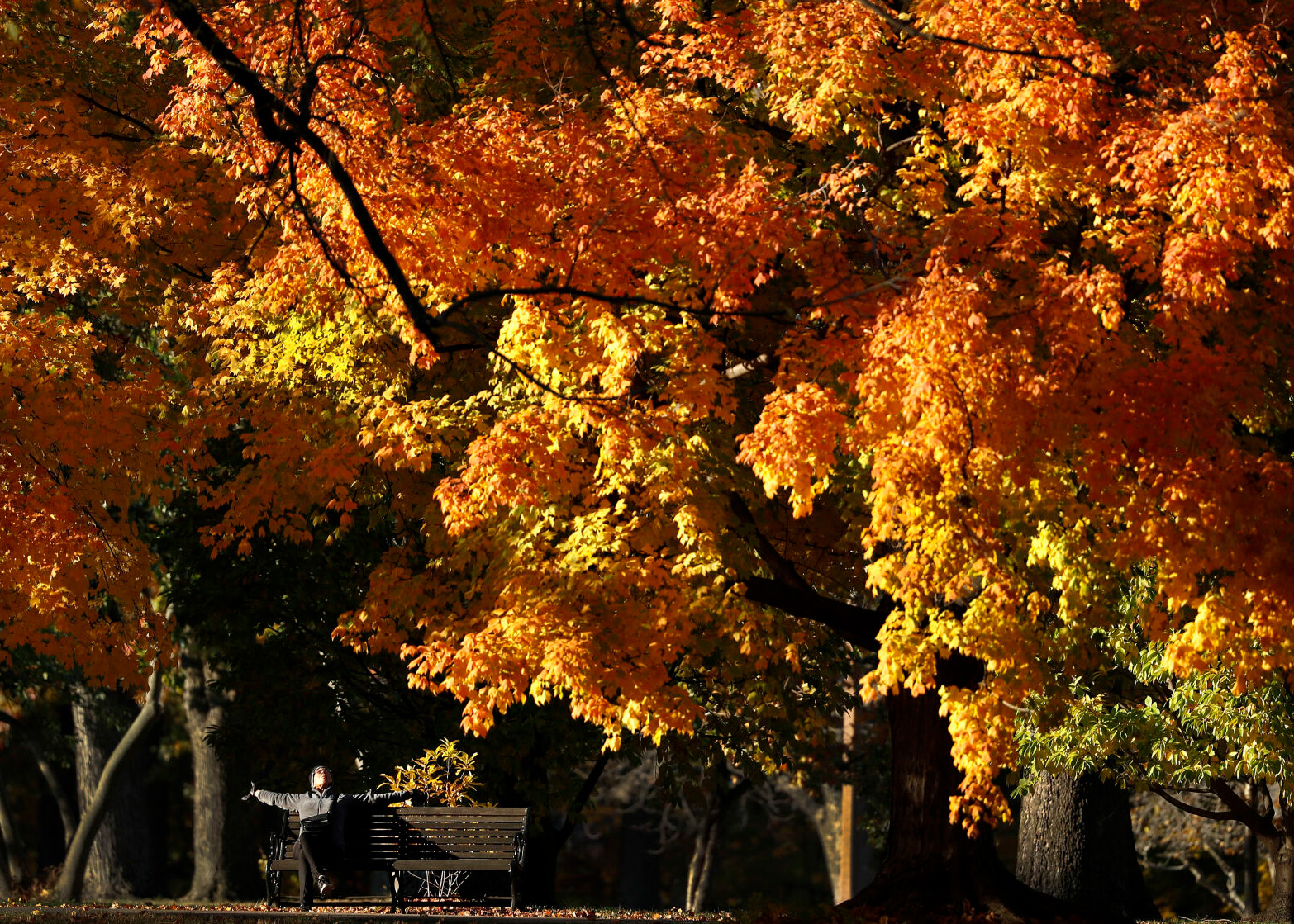 Would you rather have an extended summer or an early fall?
