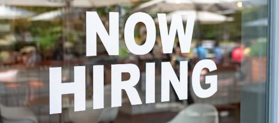 Have you changed your job in the past 2 years?