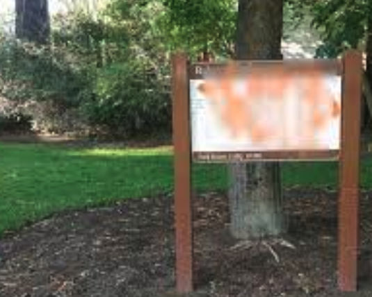 Have you seen a spike in vandalism around your city?
