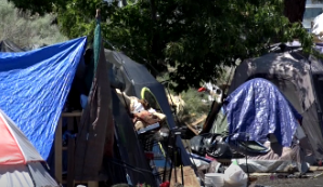 Do you think the houseless response office is a step in the right direction?