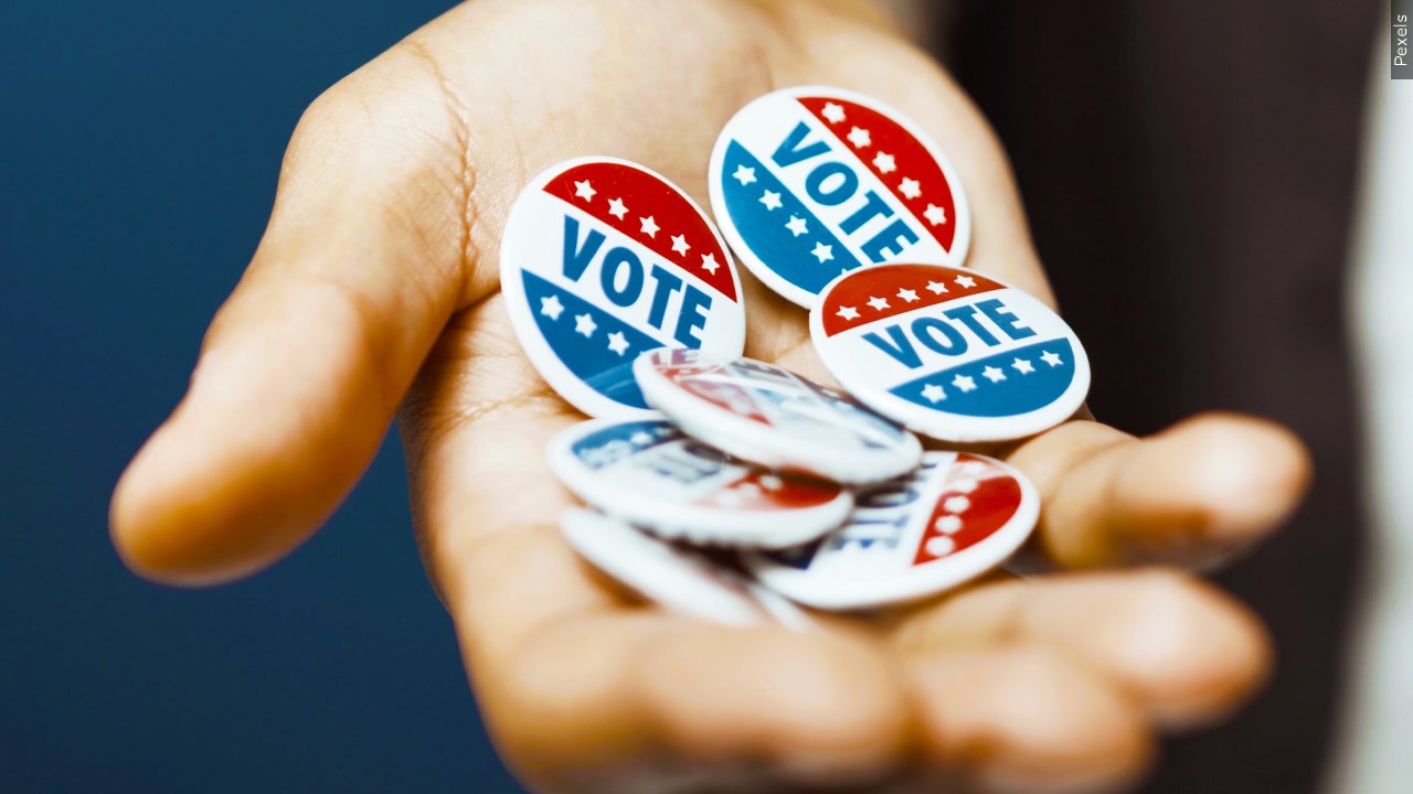 Are you planning to vote this year? 
