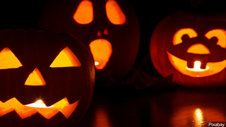 Are you planning to check out any local Halloween events this weekend?