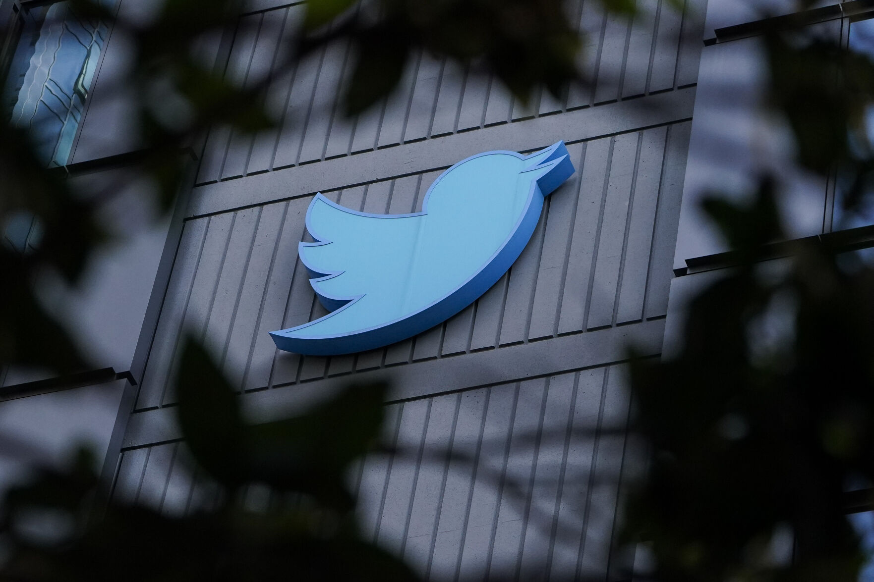 Would you be willing to pay for Twitter if it switched to a subscription-based service?