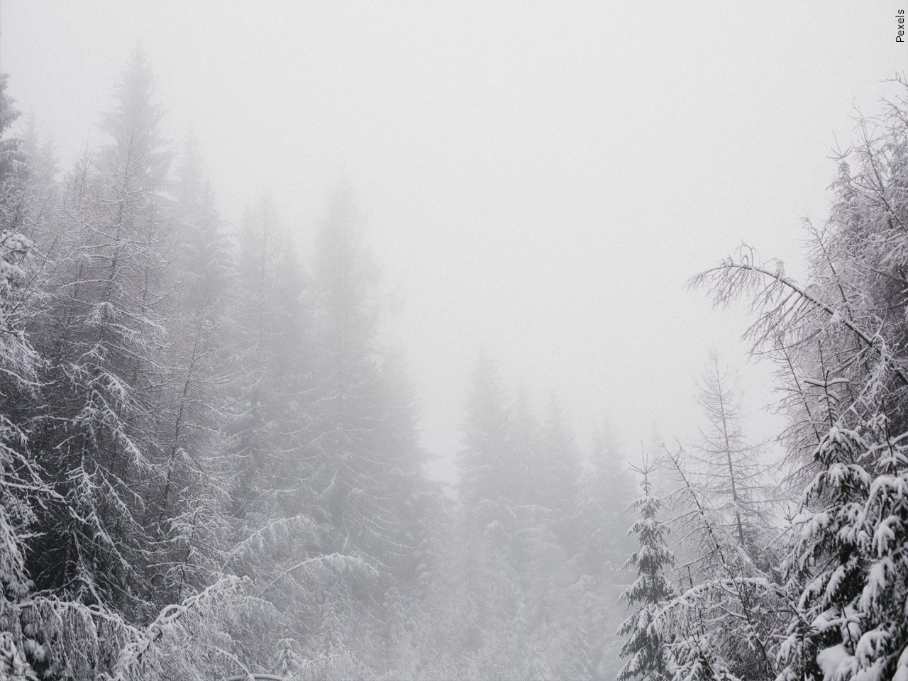 Do you prefer a snowy winter?