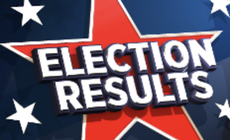 Overall, are you satisfied with the election results?